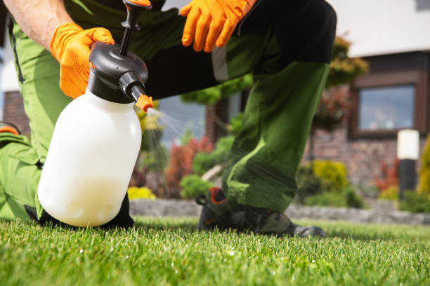 Best Pest Prevention Services  in Cross Roads, TX