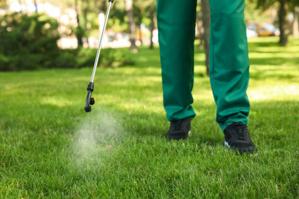 Professional Pest Control in Cross Roads, TX