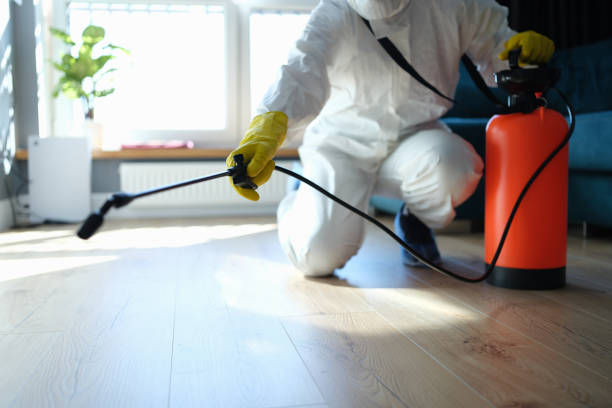 Flea Control Services in Cross Roads, TX