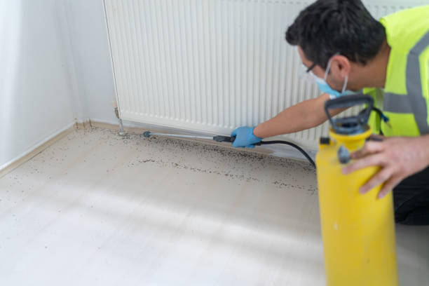 Best Pest Control for Homes  in Cross Roads, TX